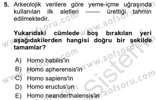 Gastronomi Tarihi Dersi 2023 - 2024 Yılı Yaz Okulu Sınav Soruları 5. Soru