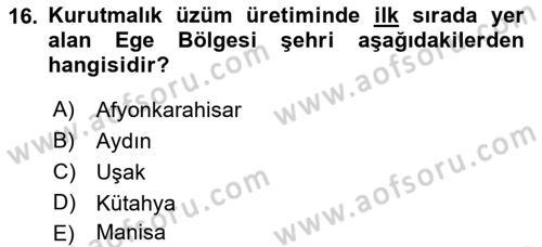 Yöresel Mutfaklar Dersi 2018 - 2019 Yılı (Final) Dönem Sonu Sınav Soruları 16. Soru
