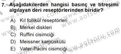 İnsan Anatomisi Ve Fizyolojisi Dersi 2015 - 2016 Yılı (Final) Dönem Sonu Sınav Soruları 7. Soru