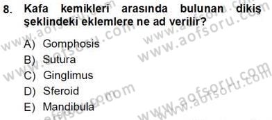İnsan Anatomisi Ve Fizyolojisi Dersi 2012 - 2013 Yılı (Vize) Ara Sınav Soruları 8. Soru