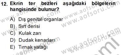 İnsan Anatomisi Ve Fizyolojisi Dersi 2014 - 2015 Yılı (Vize) Ara Sınav Soruları 12. Soru