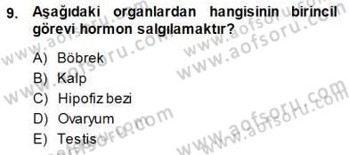 İnsan Anatomisi Ve Fizyolojisi Dersi 2013 - 2014 Yılı (Final) Dönem Sonu Sınav Soruları 9. Soru