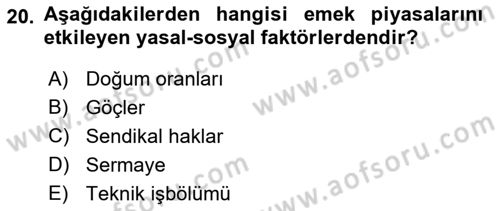 Göç Ve Göçmen Sorunları Dersi 2021 - 2022 Yılı Yaz Okulu Sınav Soruları 20. Soru
