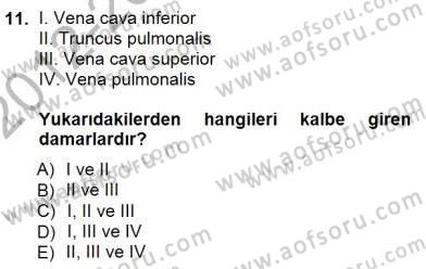İnsan Anatomisi Ve Fizyolojisi Dersi 2012 - 2013 Yılı (Final) Dönem Sonu Sınav Soruları 11. Soru
