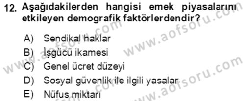 Göç Ve Göçmen Sorunları Dersi 2022 - 2023 Yılı Yaz Okulu Sınav Soruları 12. Soru