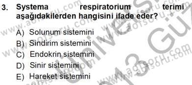 İnsan Anatomisi Ve Fizyolojisi Dersi 2012 - 2013 Yılı (Vize) Ara Sınav Soruları 3. Soru