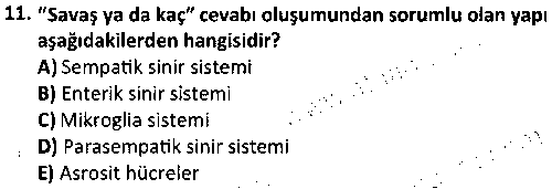 LAB1008 Hayvan Davranışları ve Refahı çıkmış sınav sorusu 3