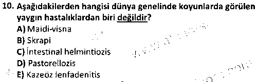 LAB2001 Sürü Sağlığı Yönetimi ve Ekonomisi çıkmış sınav sorusu 2