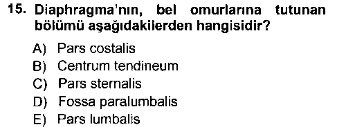 LBV101U Temel Veteriner Anatomi çıkmış sınav sorusu 3