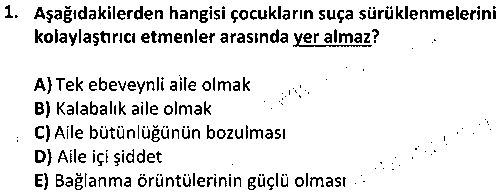 SOH2005 İnsan Davranışı ve Sosyal Çevre 1 çıkmış sınav sorusu 1