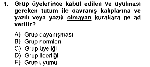 SOS104U İnsan ve Toplum çıkmış sınav sorusu 1