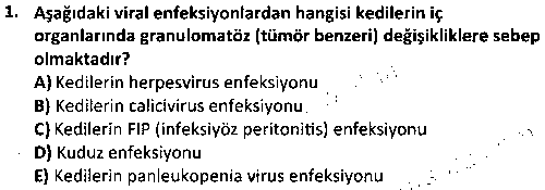 LAB2009 Temel Viroloji ve Viral Hastalıklar çıkmış sınav sorusu 1