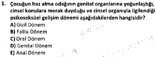 SOH2009 Sosyal Hizmet Kuram ve Yaklaşımları çıkmış sınav sorusu 1