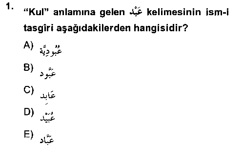 Arapça 2 çıkmış sınav sorusu 1