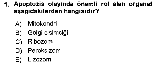 SAG210U İnsan Beden Yapısı Ve Fizyolojisi çıkmış sınav sorusu 1