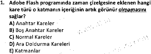 Animasyon Tasarımı çıkmış sınav sorusu 1