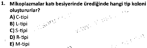 LAB1004 Veteriner Mikrobiyoloji ve İmmünoloji çıkmış sınav sorusu 1