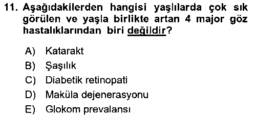 SHZ303U Yaşlılarla Sosyal Hizmet çıkmış sınav sorusu 3