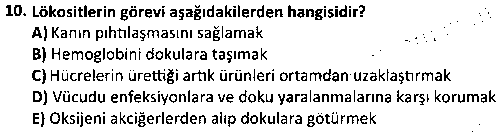 TDS2001 Hastalıklar Bilgisi çıkmış sınav sorusu 2