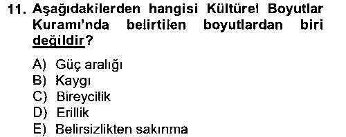 ILT204U Kültürlerarası İletişim çıkmış sınav sorusu 2