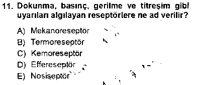 ANA103U İnsan Anatomisi Ve Fizyolojisi çıkmış sınav sorusu 3