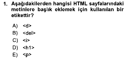 BIL205U Web Arayüz Programlama çıkmış sınav sorusu 1