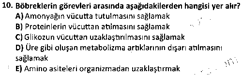 LAB2004 Veteriner İç Hastalıkları Bilgisi çıkmış sınav sorusu 2