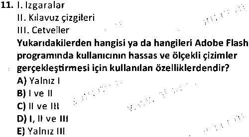 Animasyon Tasarımı çıkmış sınav sorusu 3