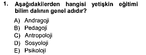 IKY205U İşletmelerde Eğitim ve Geliştirme çıkmış sınav sorusu 1