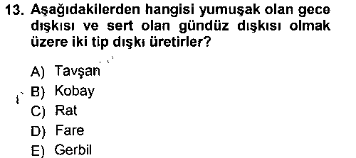 LBV204U Temel Klinik Bilgisi çıkmış sınav sorusu 1