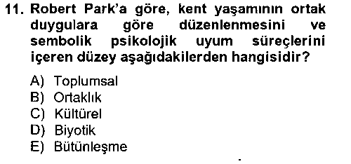 SOS104U İnsan ve Toplum çıkmış sınav sorusu 2