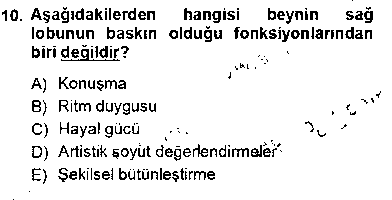 SAG401U Çocuk Ruh Sağlığı çıkmış sınav sorusu 2