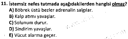 RKR4005 Çocuk ve Yaşlılarda Rekreasyon çıkmış sınav sorusu 3