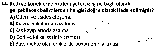 LAB2005 Yem Bilgisi ve Hayvan Besleme çıkmış sınav sorusu 3