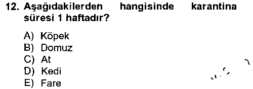 LBV210U Laboratuvar Hayvanlarını Yetiştirme ve Sağlığı çıkmış sınav sorusu 2
