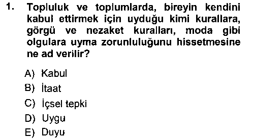 OKO305U Okulöncesinde Yaratıcılık çıkmış sınav sorusu 1