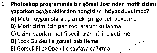 TMT3007 Dijital Tekstil Baskı Tasarımı çıkmış sınav sorusu 1