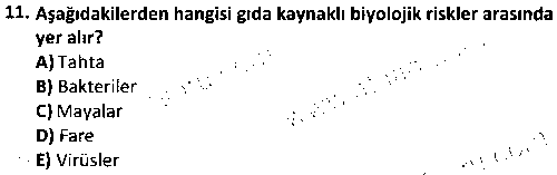 TOI2004 Gıda ve Personel Hijyeni çıkmış sınav sorusu 3