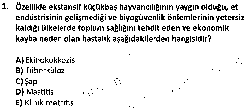 LAB2001 Sürü Sağlığı Yönetimi ve Ekonomisi çıkmış sınav sorusu 1
