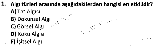 GRF3006 Tasarımda Fotoğraf Kullanımı çıkmış sınav sorusu 1