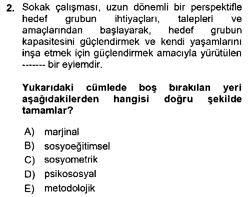 SHZ308U Sokak Sosyal Hizmeti Ve Adli Sosyal Hizmet çıkmış sınav sorusu 2