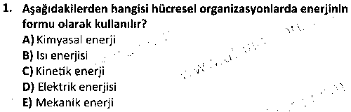 SPB2001 Egzersiz ve Beslenme çıkmış sınav sorusu 1